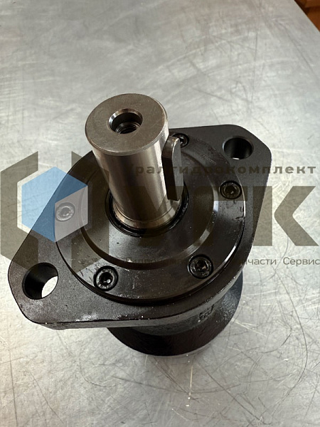 BMRY-125 P1AIIY10T10 (аналог MR 125C)