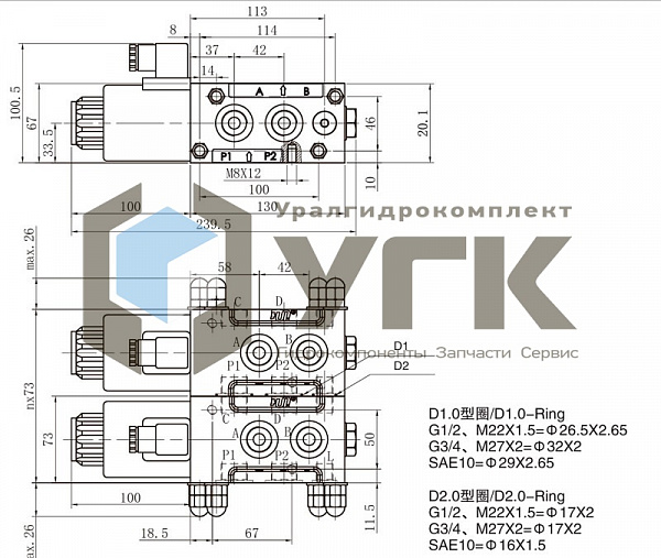 SVK10-G1/2-DC24Z5L Дивертор гидравлический электромагнитный